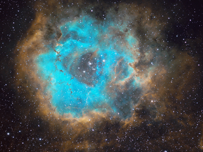 The Rosette Nebula