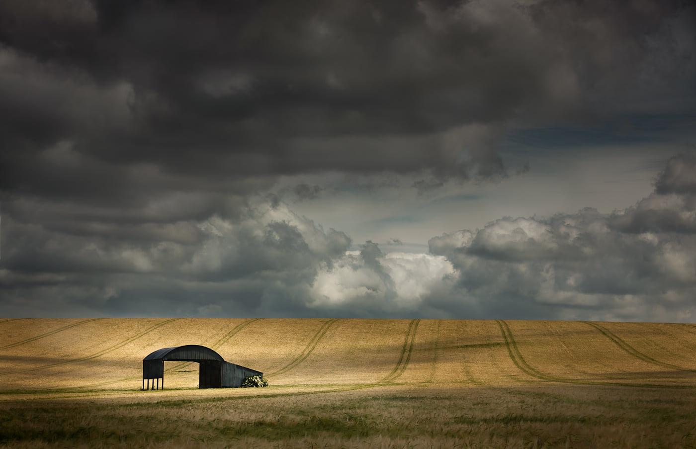 Dorset barn in field