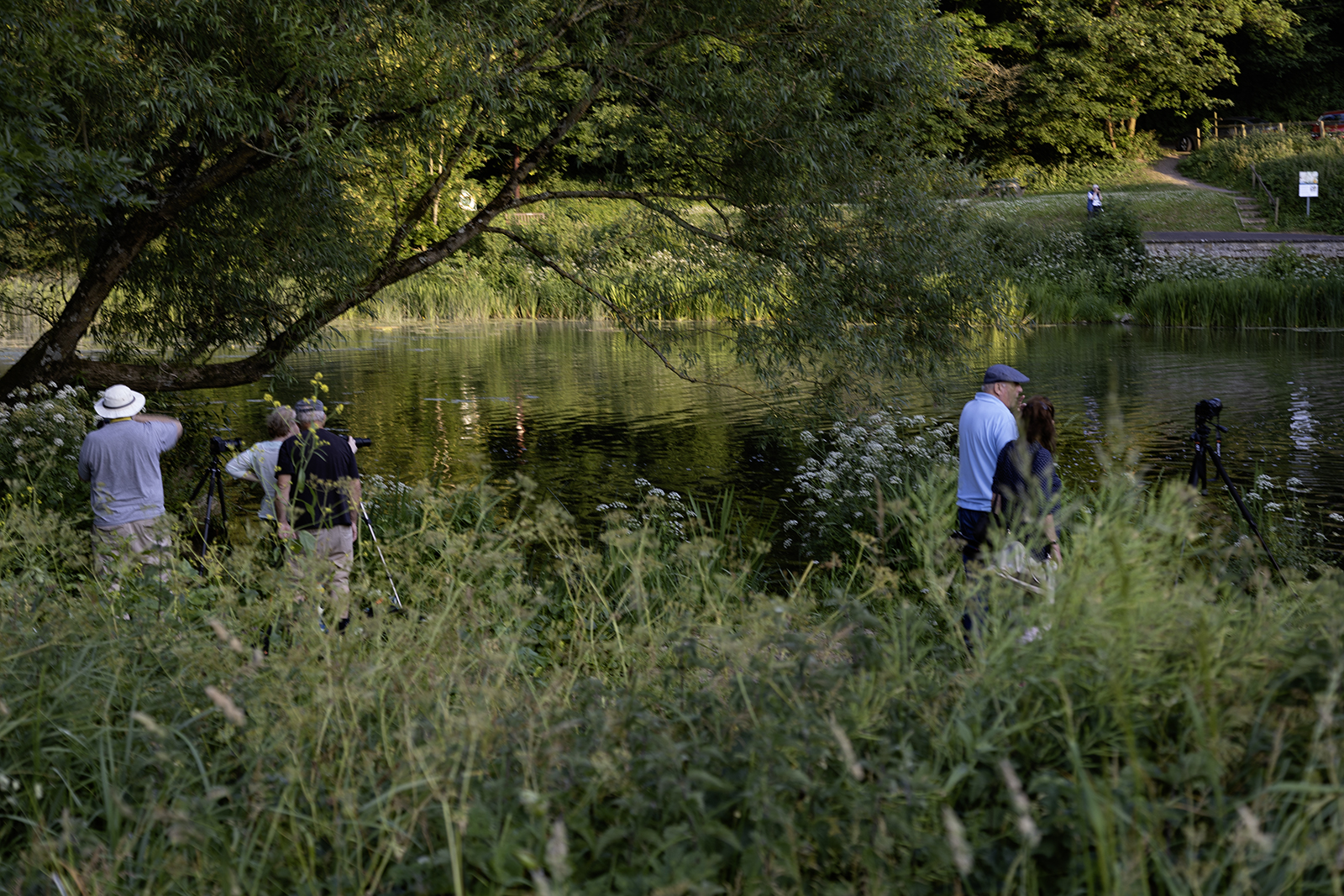 Image of Sturminster Mill