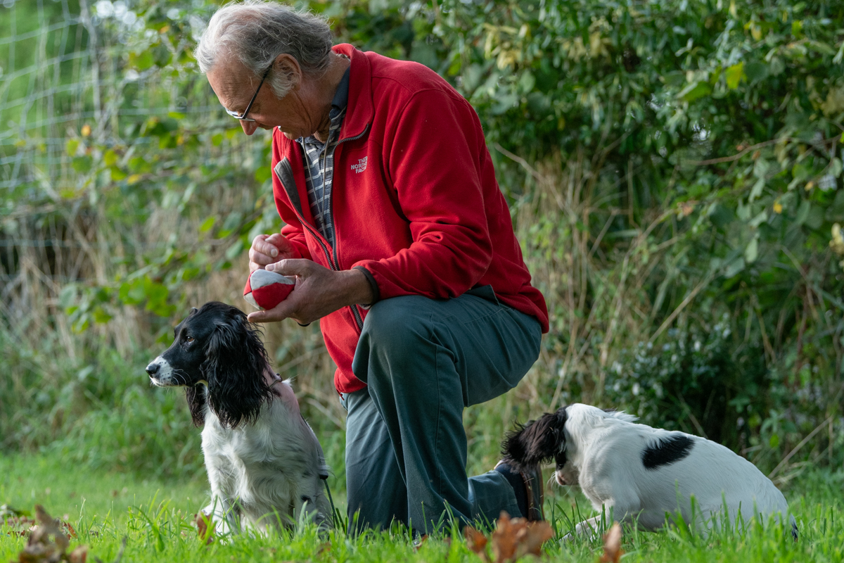 Meyrick with his dogs