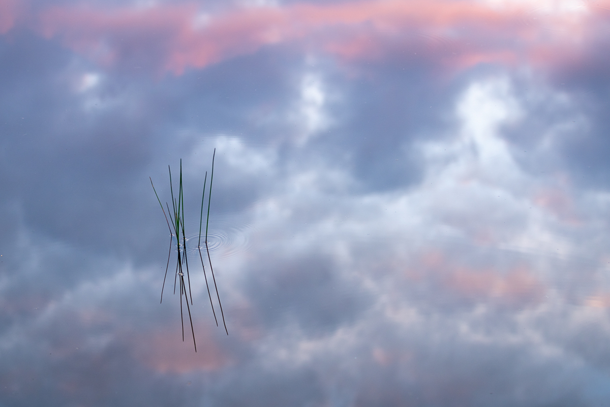 Reflected Sky image