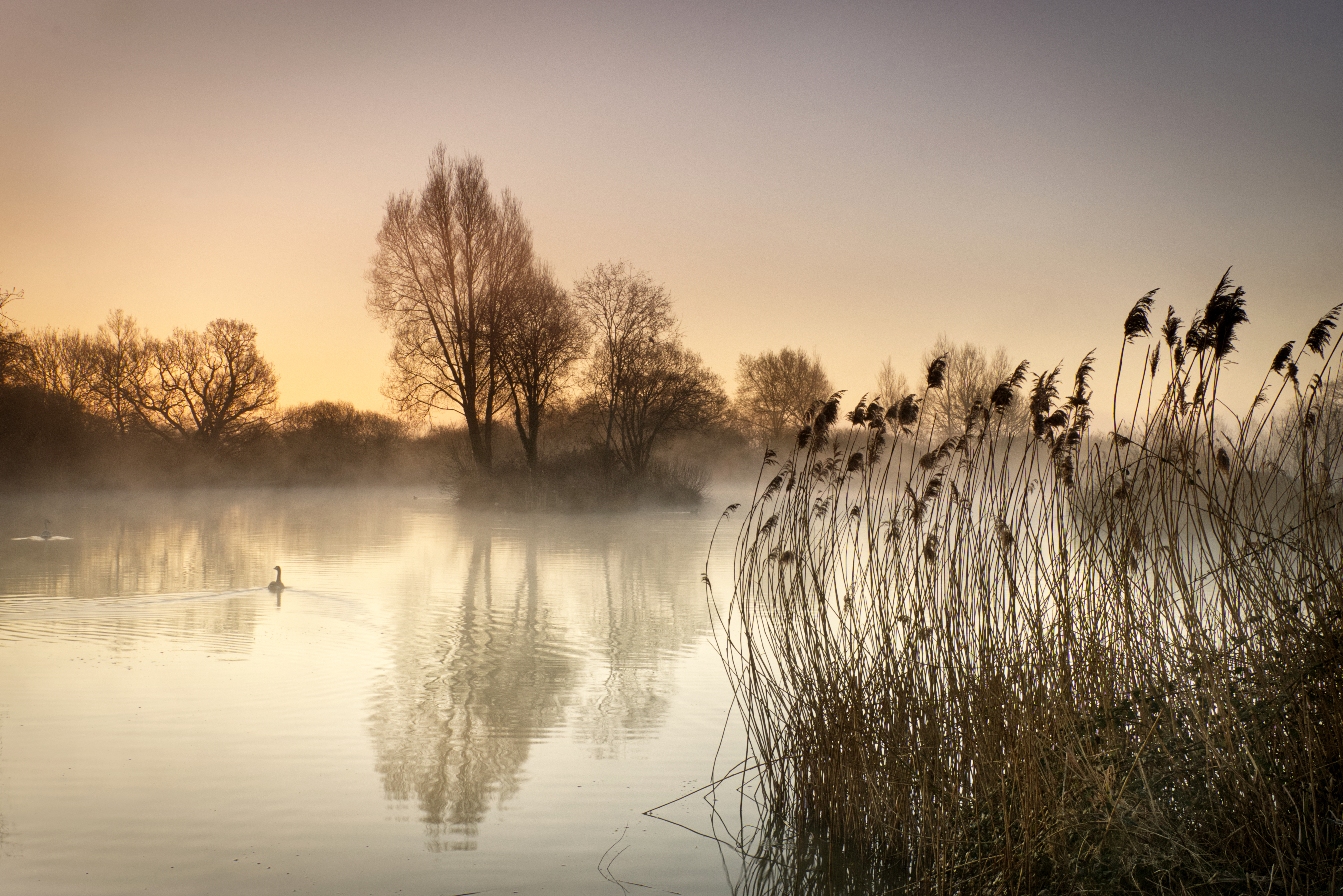 Serenity by Adie Ray, winning image