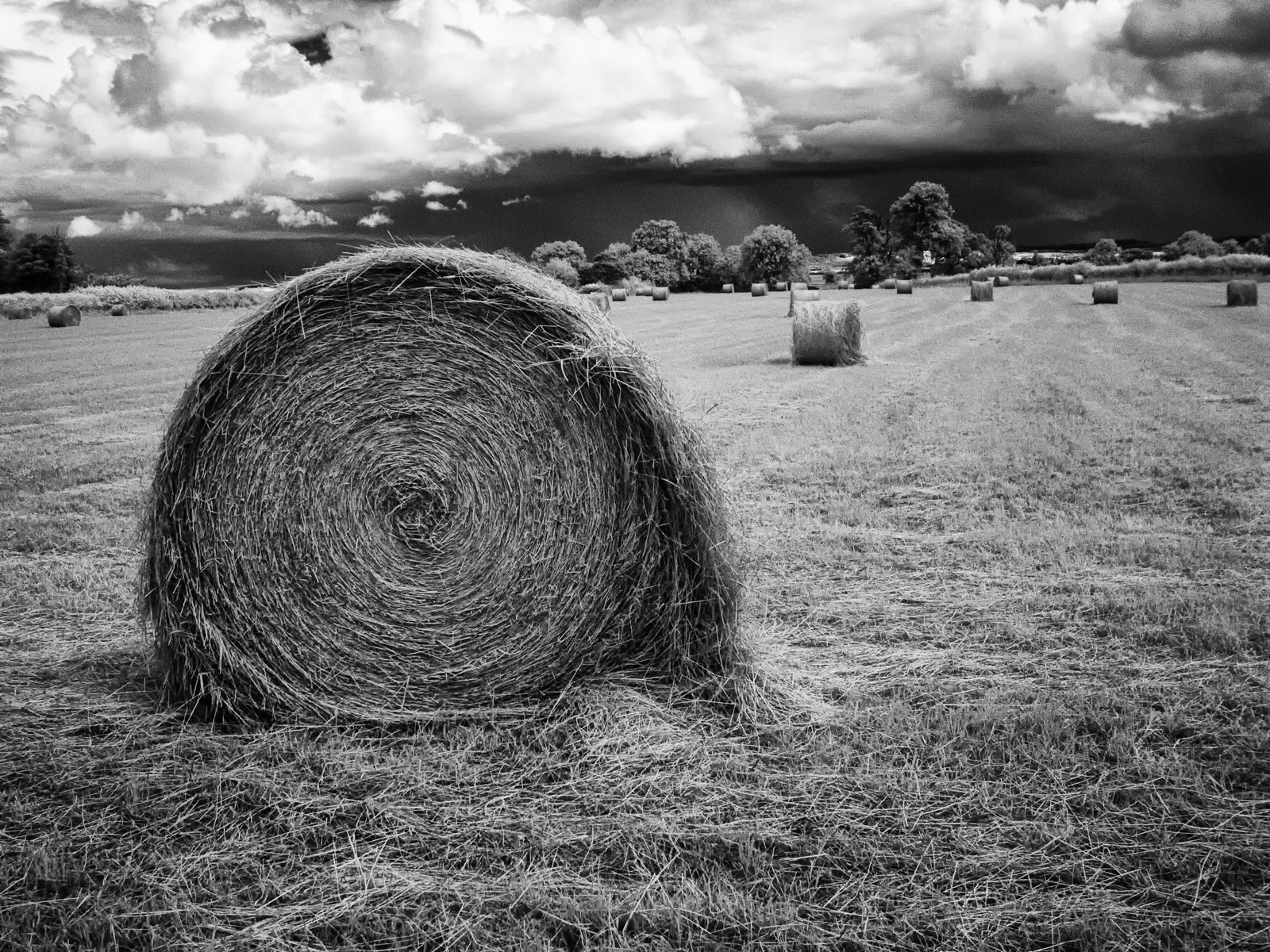 Bales by Lachlan
