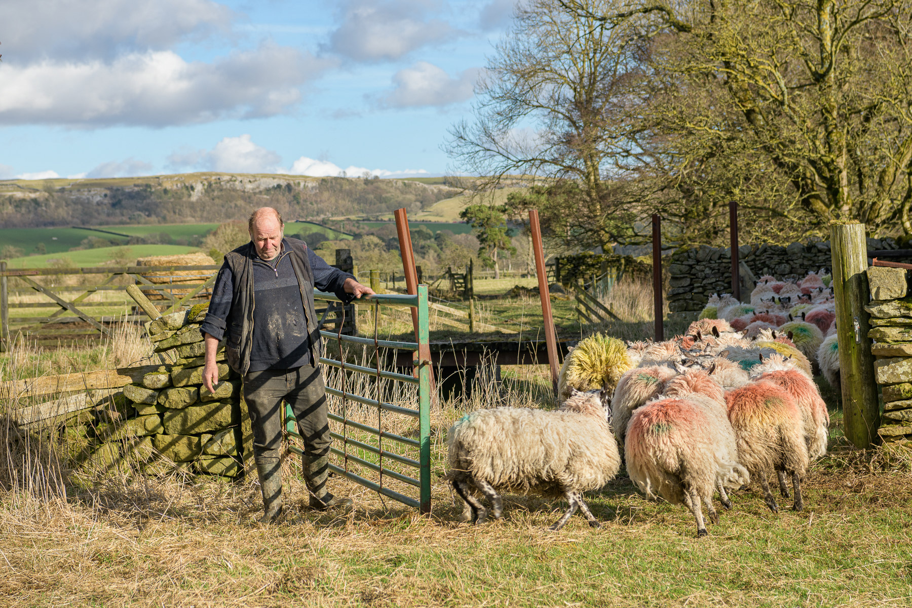 Safely gathered in print by Brian
