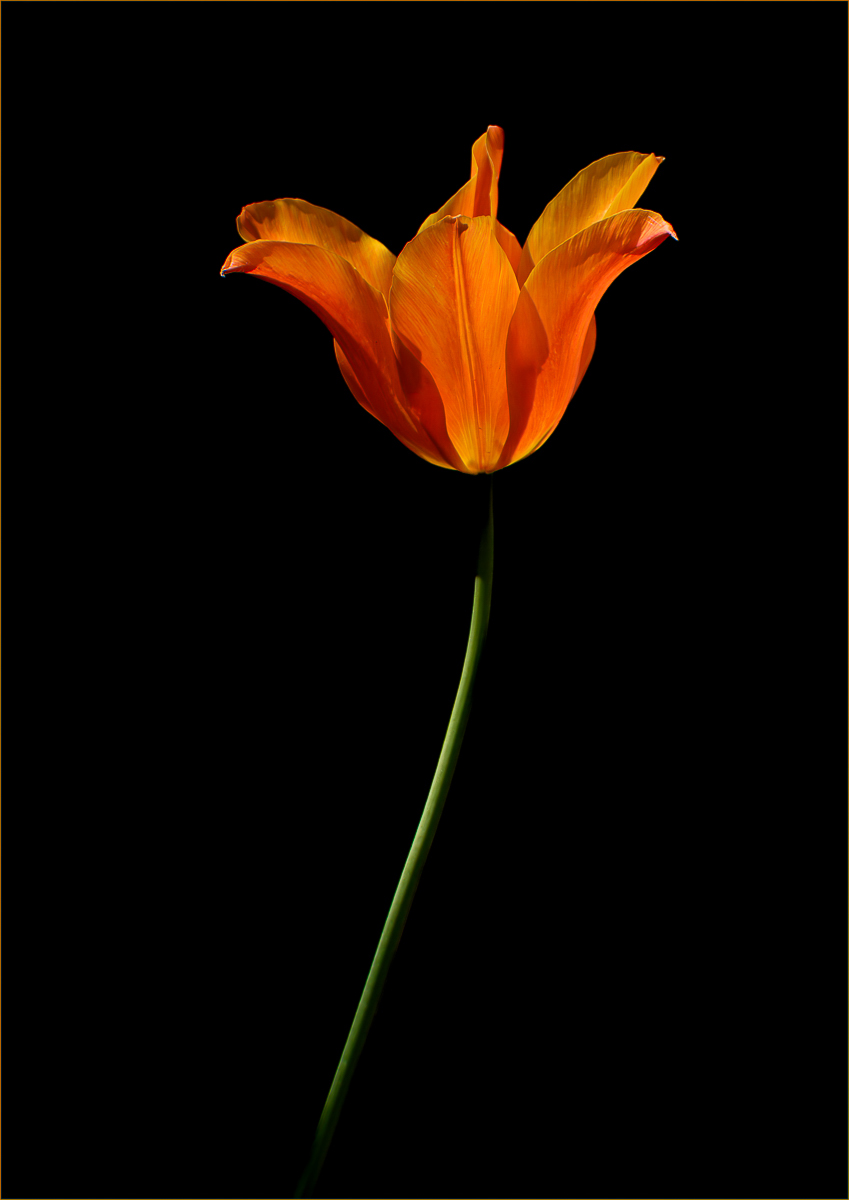Seeing the light