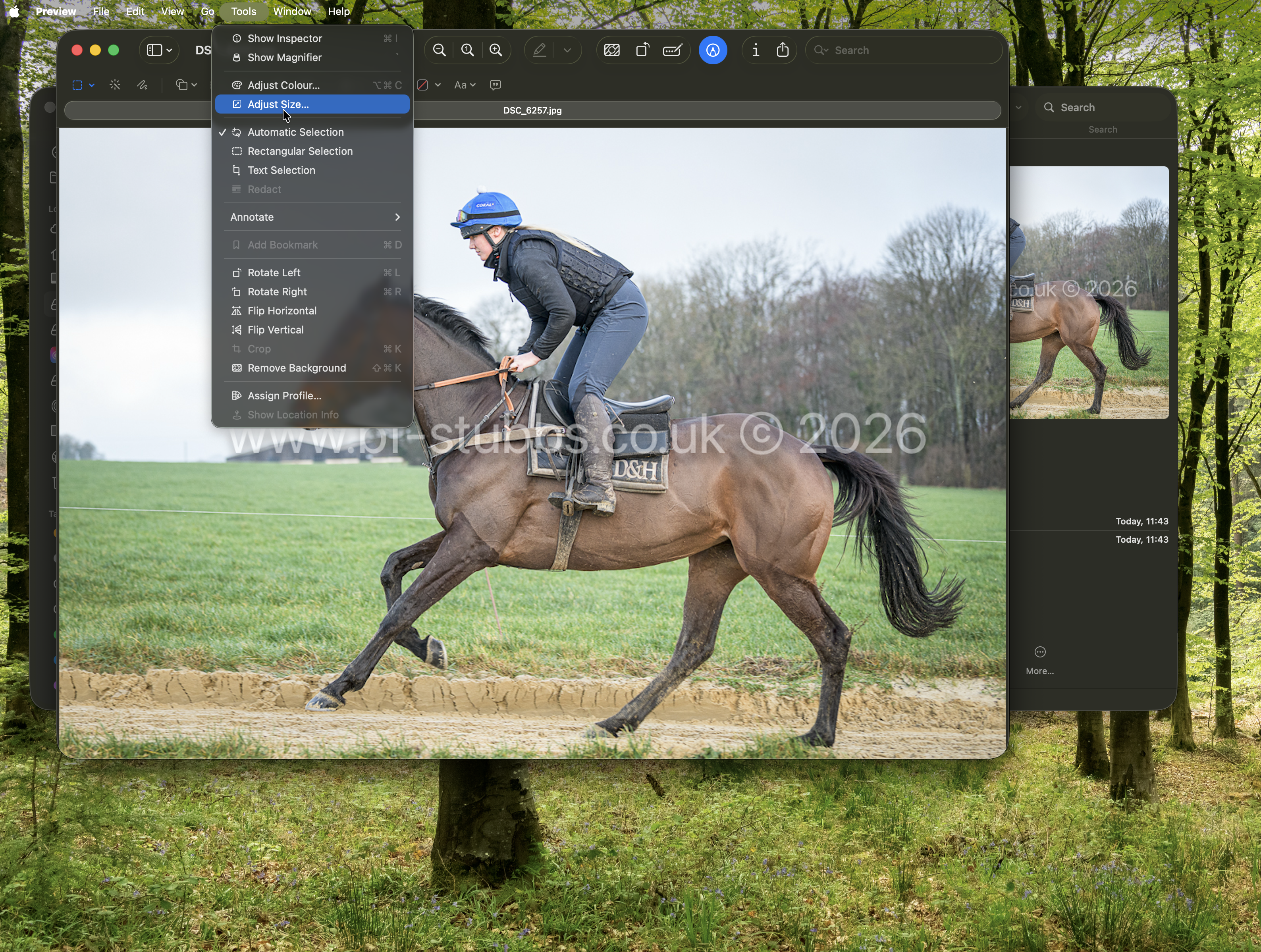 Image of Preview menu selection